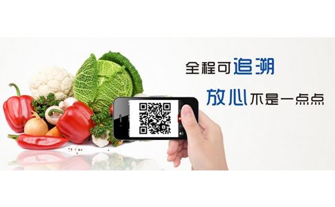 食品信息追溯系統(tǒng)